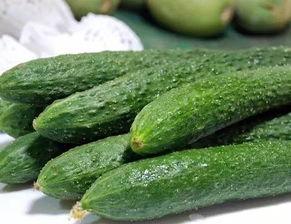 专门吃网红的瓜的网站地址,揭秘“吃瓜”网站背后的秘密与真相 第1张 专门吃网红的瓜的网站地址,揭秘“吃瓜”网站背后的秘密与真相 第1张