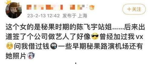 陈飞宇爆料后续事件视频,揭秘事件背后真相与影响  第1张